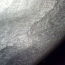 삼원카써비스 이미지