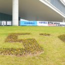 초화플라워
