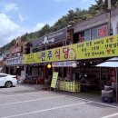 무주더덕 | 🎯 무주구천동 어사길 걷고 찾은 찐 맛집! 전주식당 산채비빔밥 & 더덕정식 감탄 후기