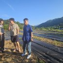 금수농장 이미지