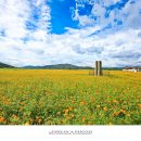 분황사주차장 이미지