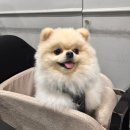 서초프라비다 | 서울대입구 24시간 스크린골프 골프존파크 더클래식점