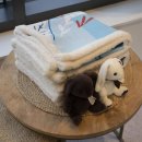 프리미엄굿즈 이미지