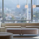 잘하는 동물메디컬센터 이미지