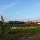 철도박물관 이미지