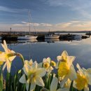 부동산중개법인이상 주식회사 이미지