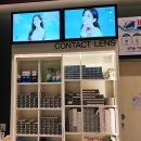 알로안경 명지스타필드시티점 이미지