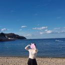 병곡숲화장실 | 영덕여행 여름휴가, 벌영리 숲, 문경새재 거쳐서 대게, 오보해수욕장
