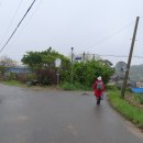 정규1 태양광발전소 Daum카페