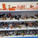 선문대학교 글로컬통합대학원 이미지