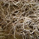 마태농장2 이미지