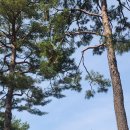 광희문 달빛로드 이미지