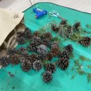 주은세탁소 이미지