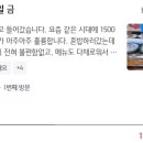 유태우스시 이미지