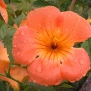 좋은하루 이미지