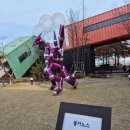 써니카페 이미지