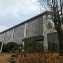 애플트리PC존 | 김포 대형카페 카페드첼시, 크리스마스 트리 김포 카페 내돈내산 후기