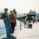 다시가고싶은 이미지