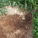 아마골농장 이미지