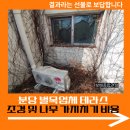 분당 벌목업체 테라스 조경 및 나무 가지치기 비용