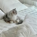 바울농장2 이미지