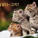 이야기카페 이미지