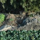 광령지석묘 10호 이미지