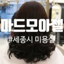 마드모아젤 네일샵 | 세종시 미용실 추천 마드모아젤 (하오니코 클리닉 + 펌후기 )
