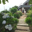 배목수집 이미지