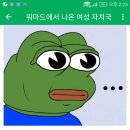 펌)워마드에서 나온 여성 자치국 계획.jpg 이미지