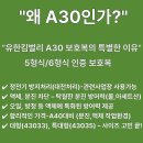 제일크린산업 | 정전기 방지 처리, 오일/방청 등의 액체에 특화된 방어력 제공이 관건/크린가드 A30 보호복 후드 흰색