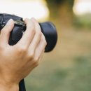 사진을 찍다 이미지