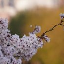 이지마트 이미지