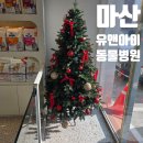 참사랑 동물병원 | [마산 동물병원] 과잉진료 없는 유앤아이 동물병원 : 사랑이 혈뇨 및 결석 진료 감동 후기