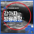 대방동물병원 이미지
