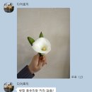 메르드아뜰리에