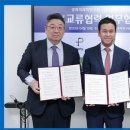 모던피