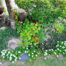 위촌리강릉하우스 이미지