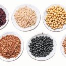 선식농장 이미지