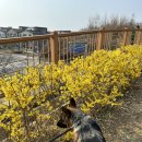 화합공원 이미지