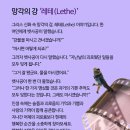 숙이머리방 - 서천군 비인로 147-1 | 숙이머리방