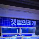 목포역 | [전남/목포] &#34;갯벌의조개 목포오션호텔점&#34; 목포 최고의 조개전골 맛집 목포역 식당 맛집 후기