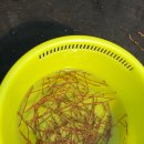 서윤목장 이미지