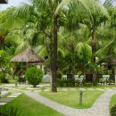 파라다이스가든 이미지