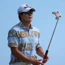 하와이스크린골프 이미지