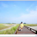 공룡알화석지방문자센터 이미지