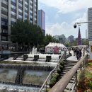 청계스포츠 | [YOUNG:光🇰🇷] 광복 페스티벌, 청계 광장에서 열린 뜻깊은 축제