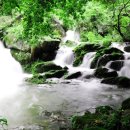 숲과계곡속으로 이미지