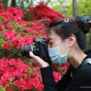 디지털카메라활용(중급) 이미지