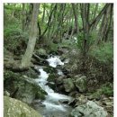 성수산자연휴양림 이미지